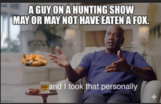 1778631964346.png