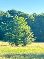 IMG_1797.jpeg