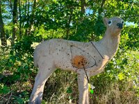 IMG_1801.jpeg