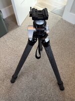 IMG_0564.jpeg