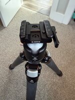 IMG_0563.jpeg