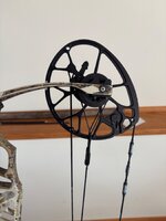 IMG_0596.jpeg