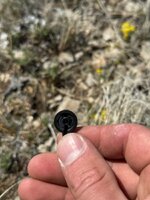 IMG_3681.jpeg