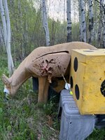 IMG_1362.jpeg