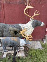 IMG_2865.jpeg
