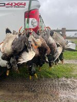 IMG_1187.jpeg