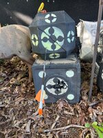 IMG_3113.jpeg