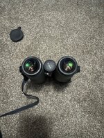 IMG_2768.jpeg