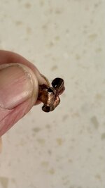 IMG_4354.jpeg