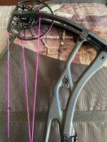 IMG_1716.jpeg