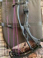 IMG_1717.jpeg
