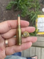 IMG_2029.jpeg