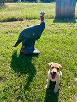 IMG_1814.jpeg IMG_1814.jpeg