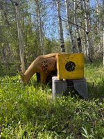 IMG_1363.jpeg