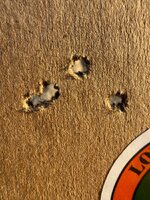 IMG_1805.jpeg