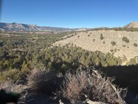 IMG_1126.jpeg