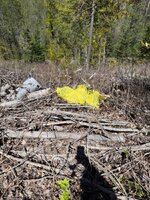 IMG_7565.jpeg