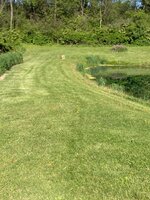 IMG_1451.jpeg