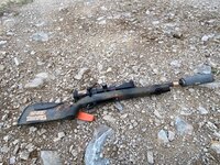 IMG_0297.jpeg