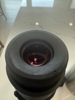 IMG_5307.jpeg