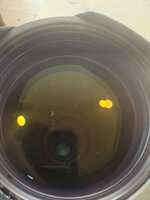 IMG_5310.jpeg