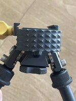 IMG_8179.jpeg
