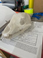 80047899511__A0A04704-A9E1-4BF4-8890-3A5D67DDEAB6.jpeg