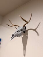 IMG_0034.jpeg