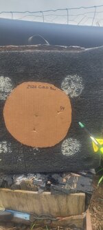 1000004017.jpg