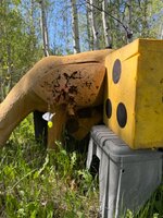 IMG_1367.jpeg
