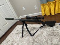 IMG_2333.jpeg