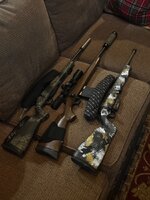 IMG_2704.jpeg