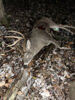 IMG_0251.jpg