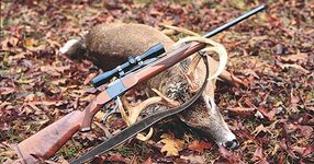 Ruger No.1 and Deer.jpg