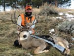2019 Montana Mule Deer.jpg