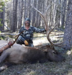elk 19.jpg