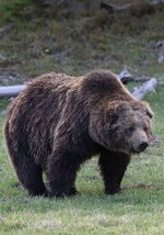 IMG_7441.jpeg