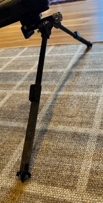 IMG_6802.jpeg