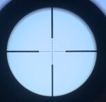 IMG_7800.jpeg