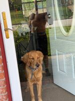 IMG_2809.jpeg