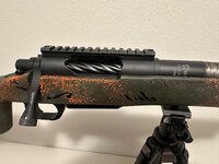 IMG_1879.jpeg