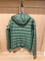 IMG_3531.jpeg