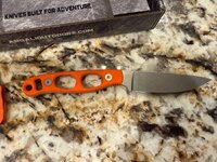 IMG_4303.jpeg