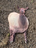 IMG_8861.jpeg