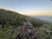 IMG_0441.jpeg