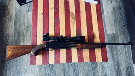 IMG_6539.jpeg