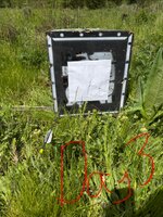 IMG_3878.jpeg