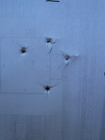 IMG_8464.jpeg