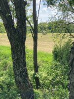 IMG_1456.jpeg