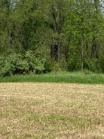 IMG_1455.jpeg